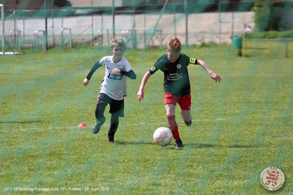 VfL Kassel - U11