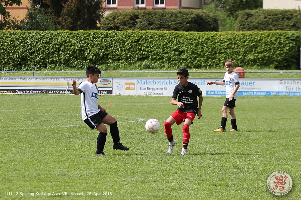 VfL Kassel - U11