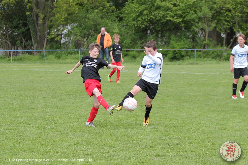 VfL Kassel - U11