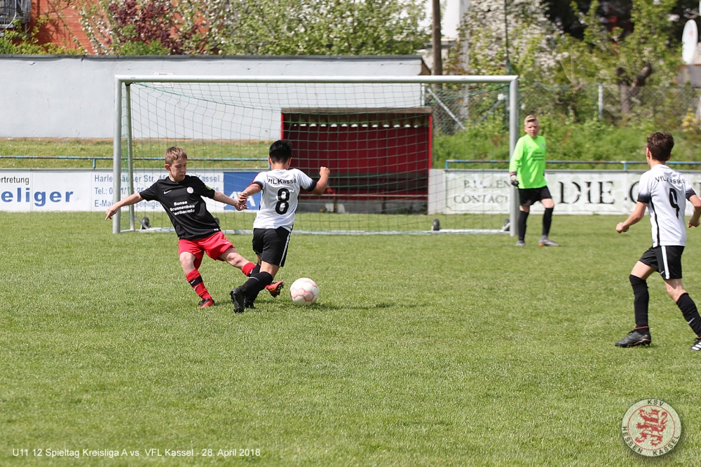 VfL Kassel - U11