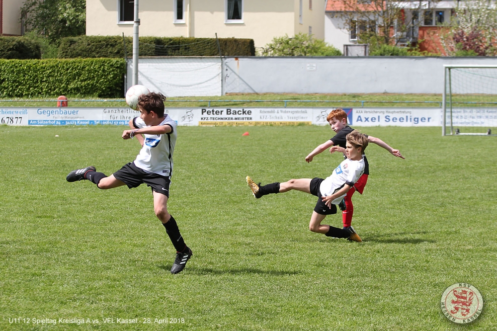 VfL Kassel - U11