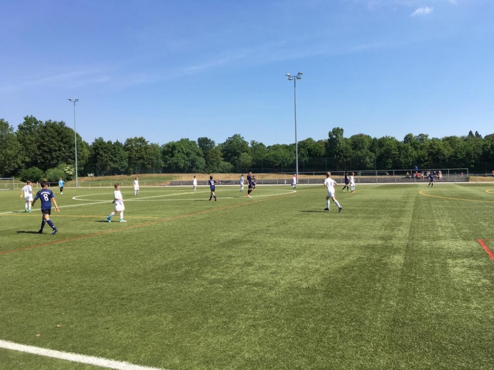 U12 - Wolfsanger II