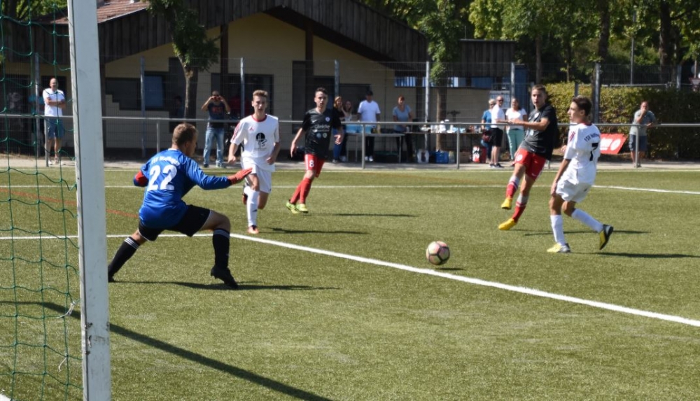 U16 - FSV Wolfhagen