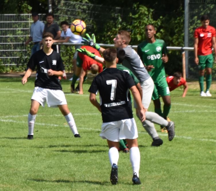 U17 - Kickers Offenbach