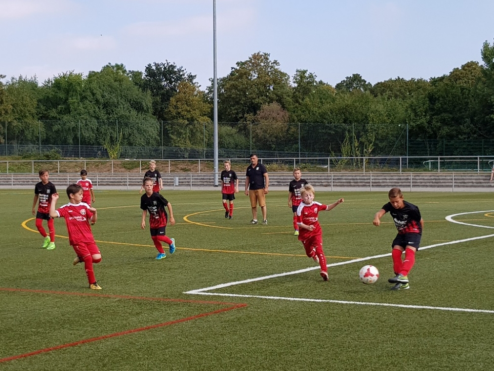 U11 - VfL Kassel