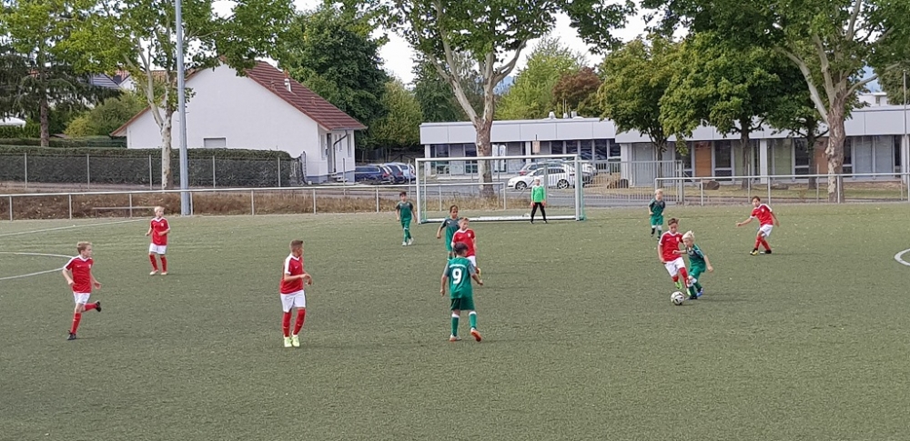 TSV Heiligenrode - U11