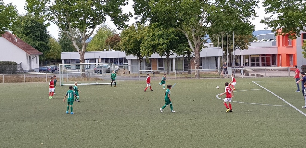 TSV Heiligenrode - U11