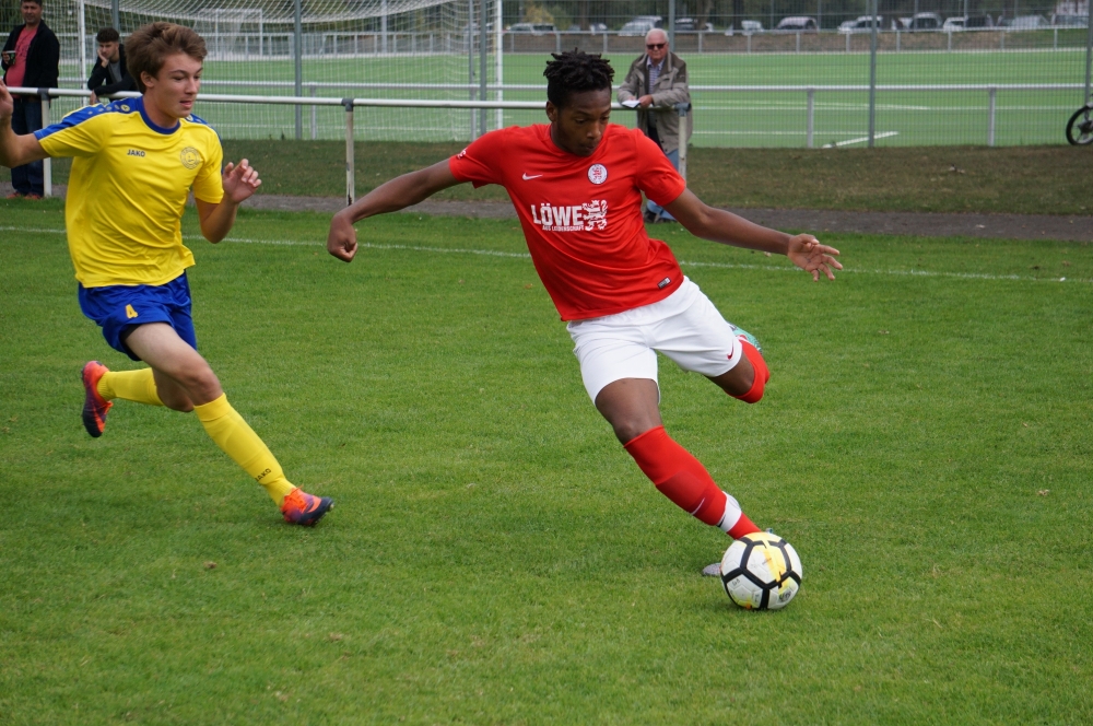 U15 - Blau Gelb Frankfurt