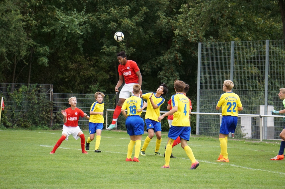 U15 - Blau Gelb Frankfurt