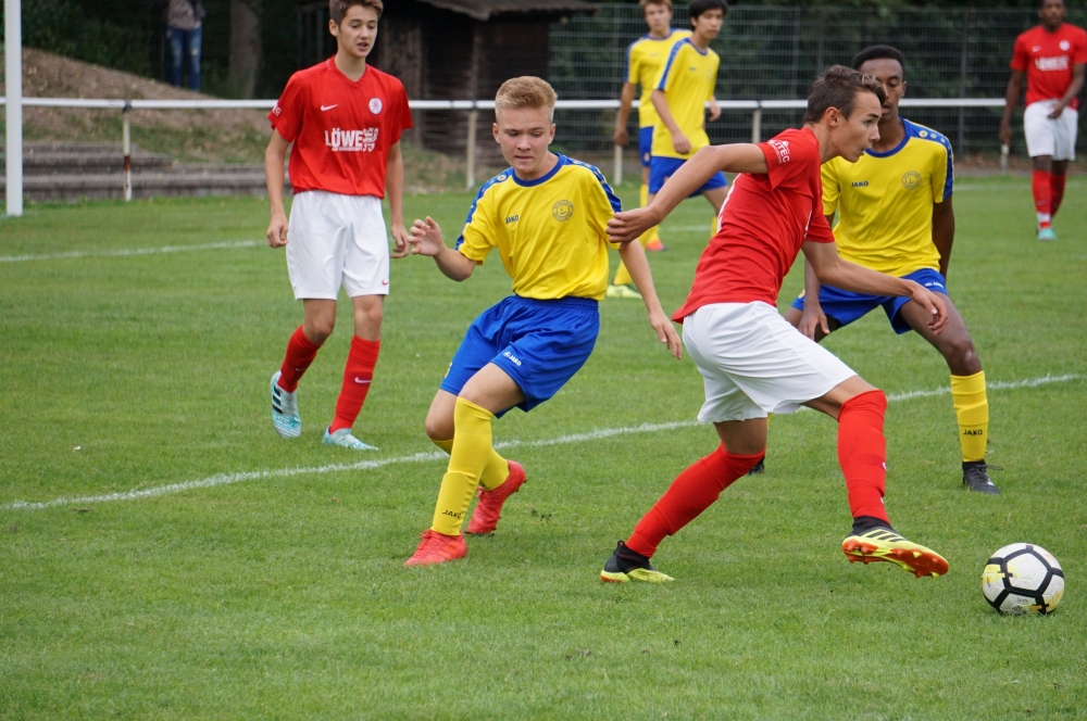 U15 - Blau Gelb Frankfurt