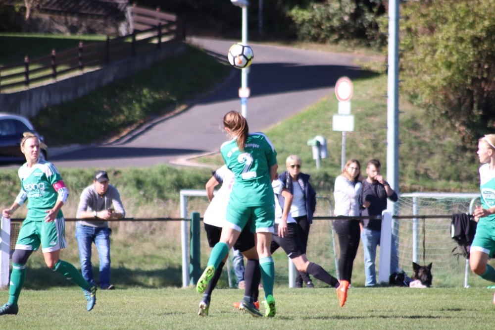 TSV Obermelsungen - KSV Hessen Kassel