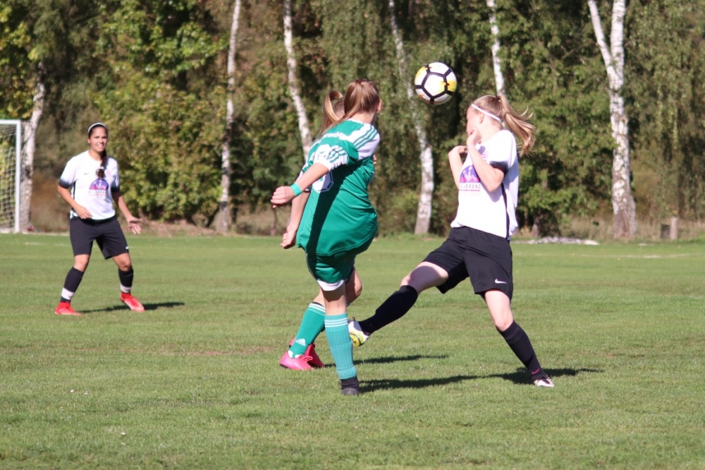 TSV Obermelsungen - KSV Hessen Kassel