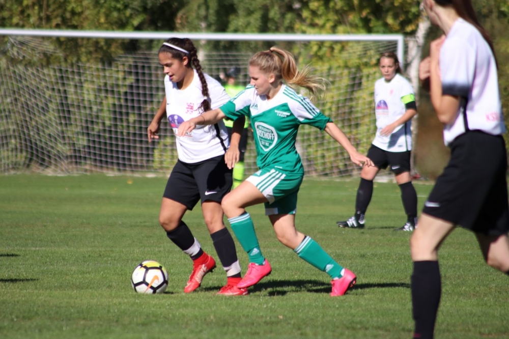 TSV Obermelsungen - KSV Hessen Kassel