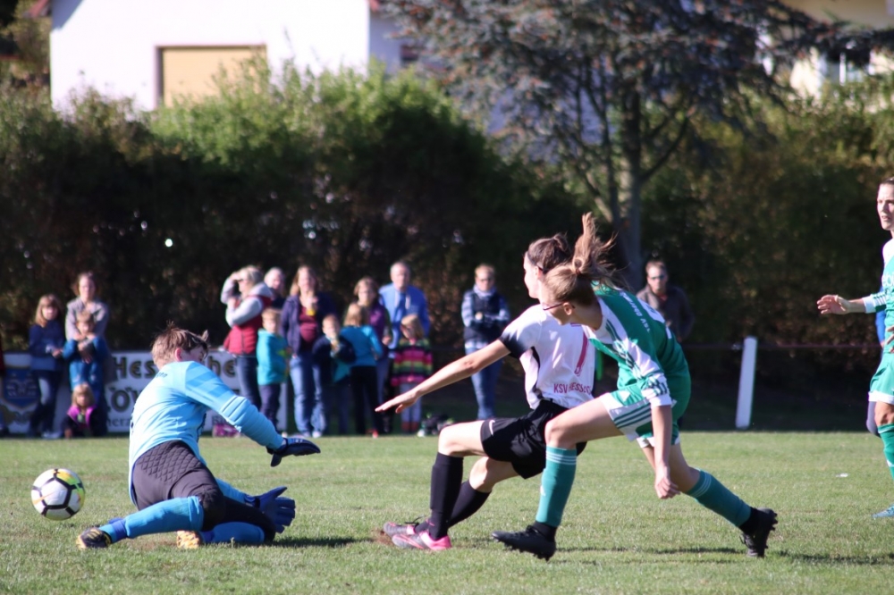 TSV Obermelsungen - KSV Hessen Kassel