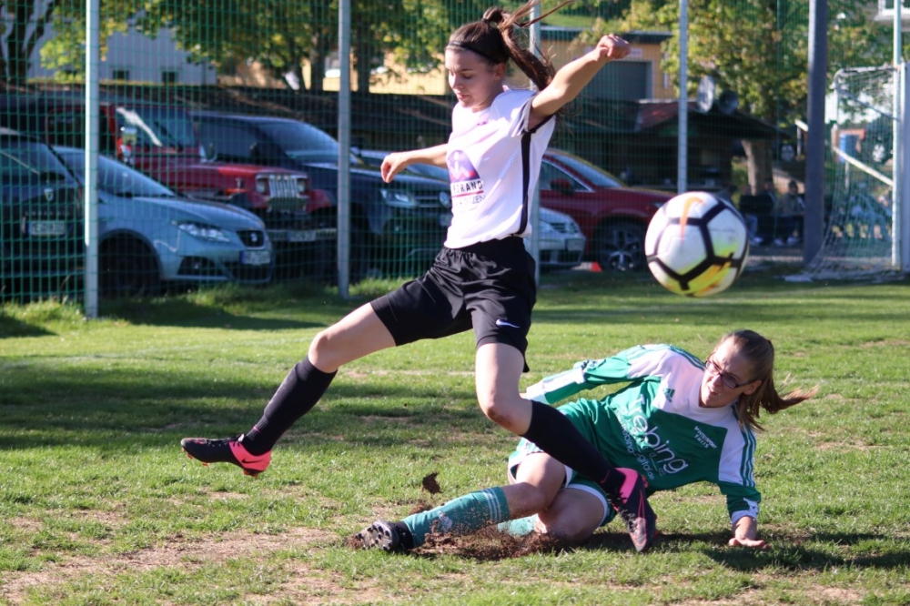 TSV Obermelsungen - KSV Hessen Kassel