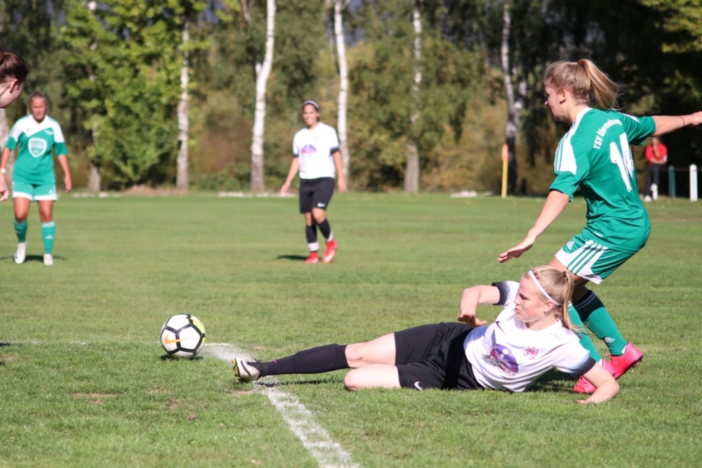 TSV Obermelsungen - KSV Hessen Kassel