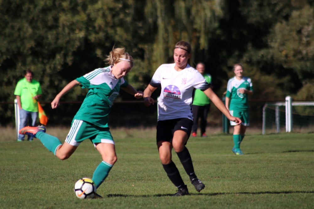 TSV Obermelsungen - KSV Hessen Kassel