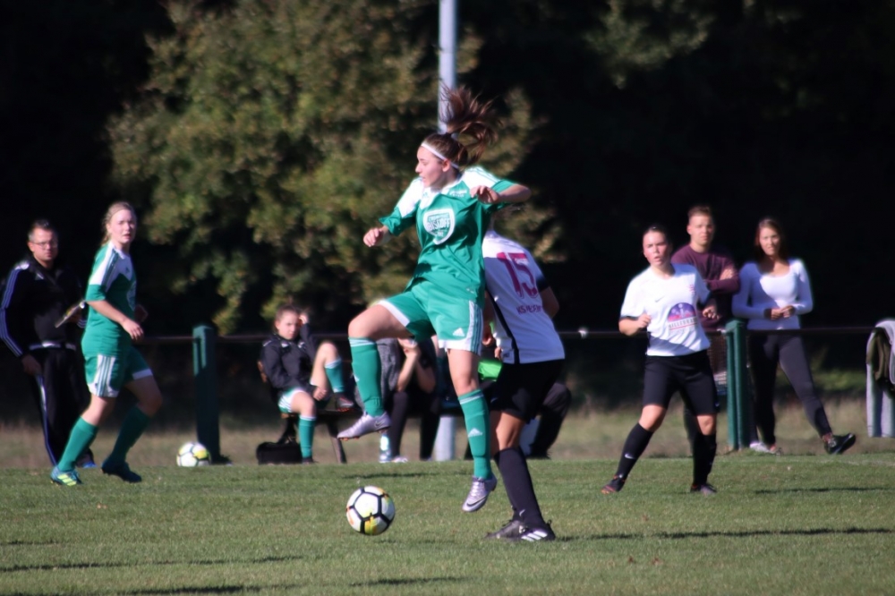 TSV Obermelsungen - KSV Hessen Kassel