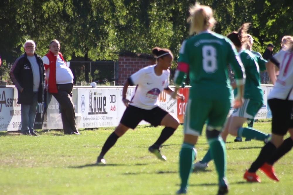 TSV Obermelsungen - KSV Hessen Kassel