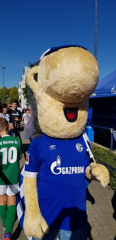 U11 Super4 Turnier auf Schalke