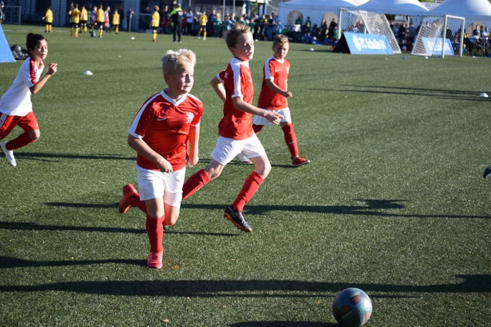 U11 auf Schalke