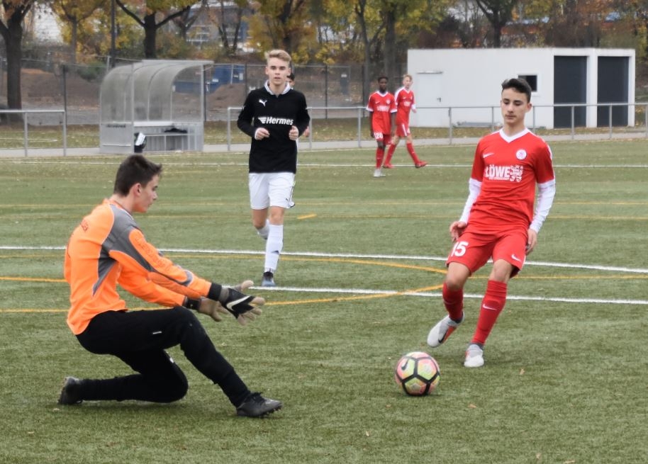 U16 - Bad Arolsen / Landau