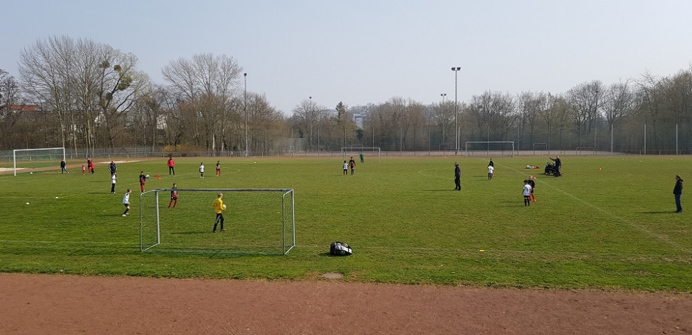 VfL Kassel - U11