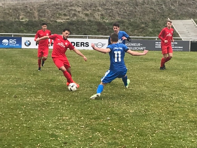 JfV Viktoria Fulda - U19