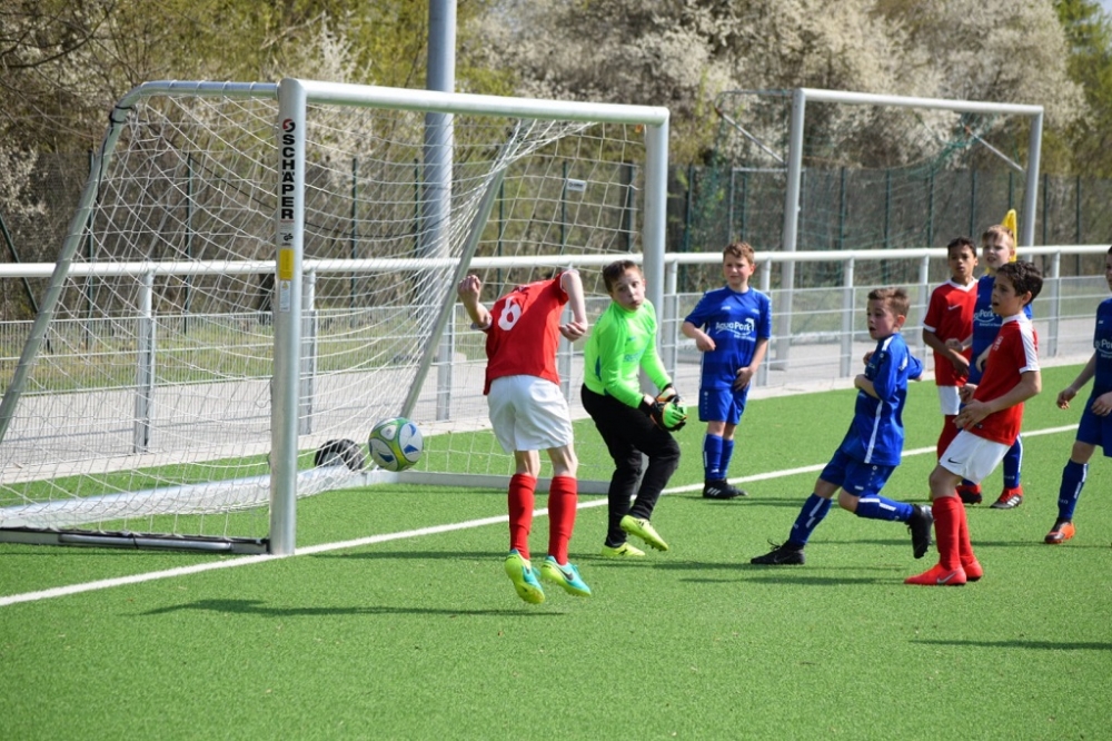 U11 - Tuspo Rengershausen