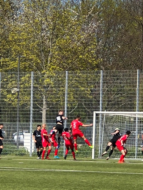RW Frankfurt - U19