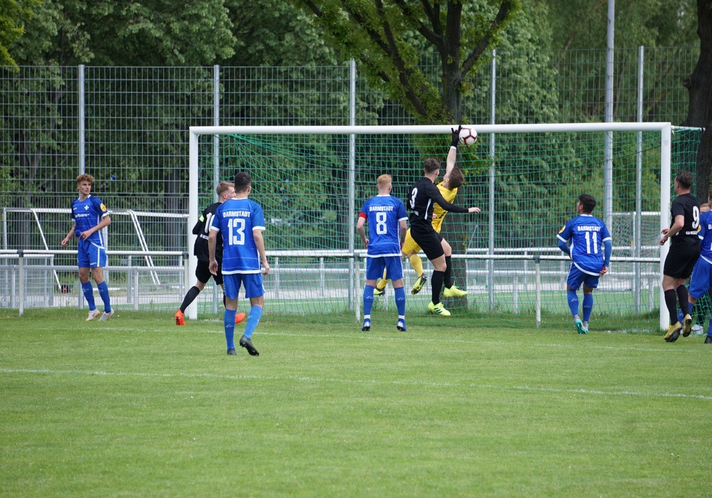 U19 - Darmstadt 98