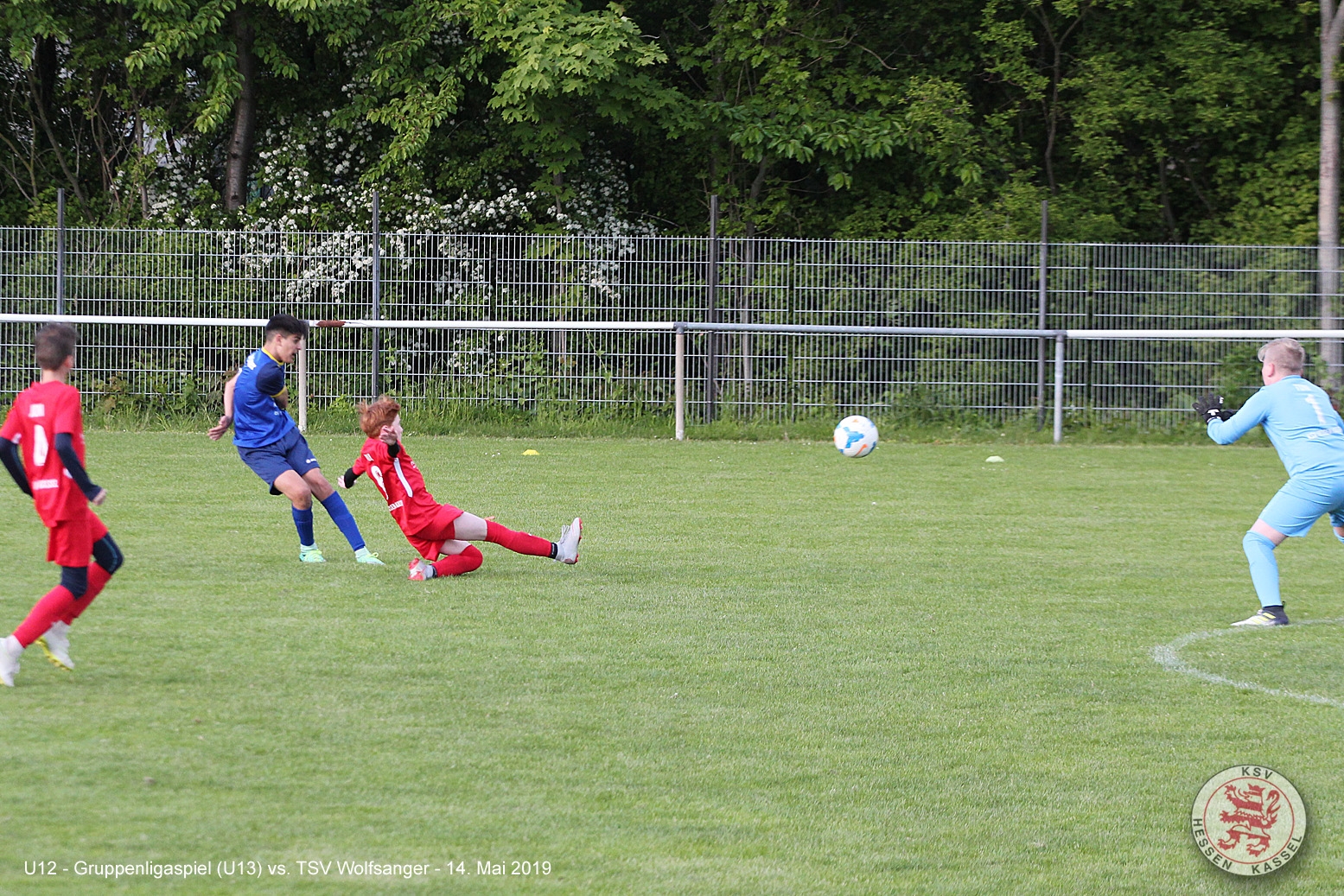 U12 - Wolfsanger