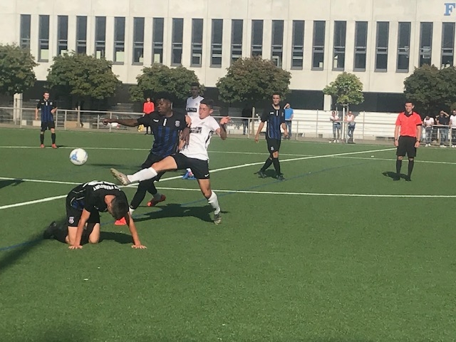 FSV Frankfurt - U19