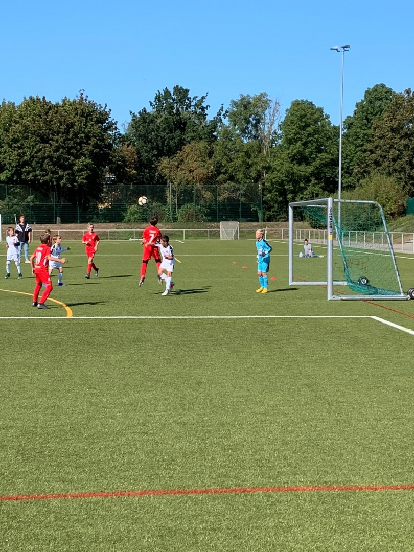 U11 - VfL Kassel