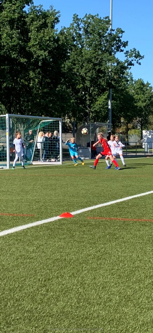 U11 - VfL Kassel