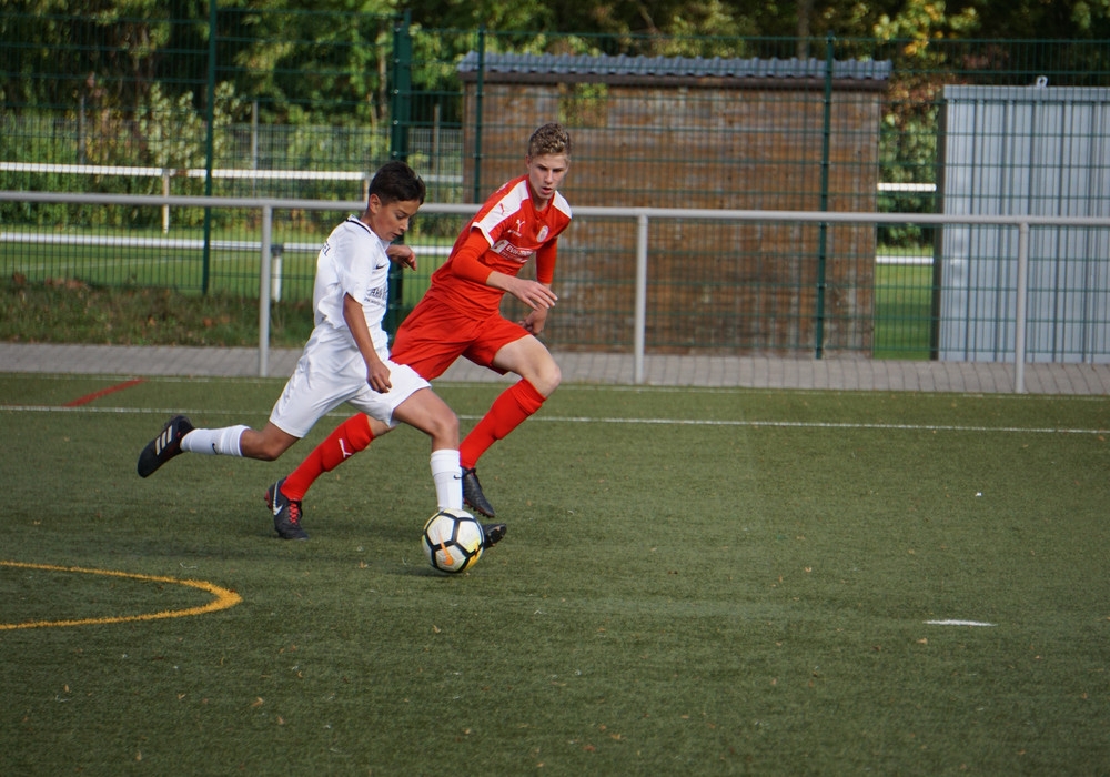U15 - Hallescher FC