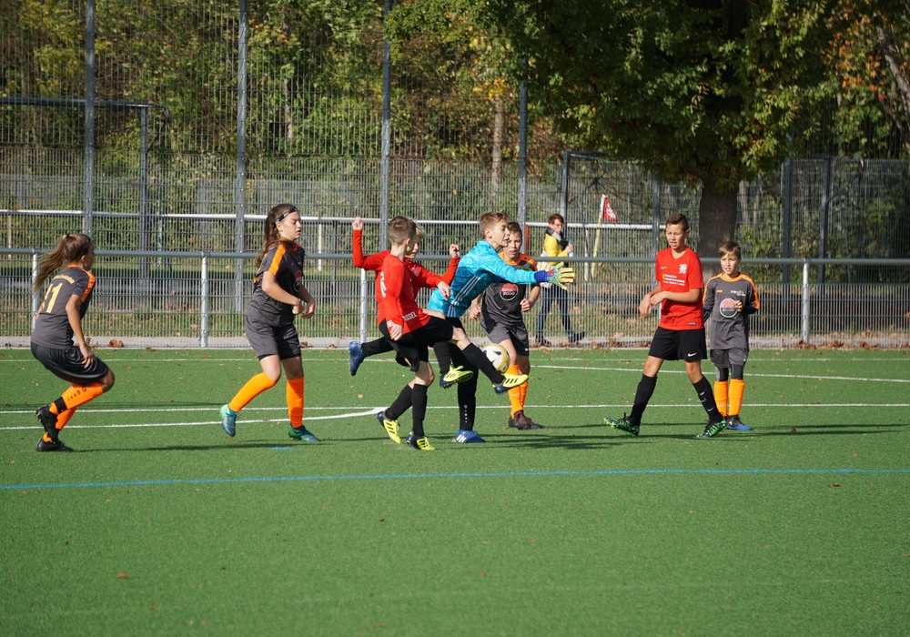 U12 - Calden / Grebenstein / hombressen / Udenhausen