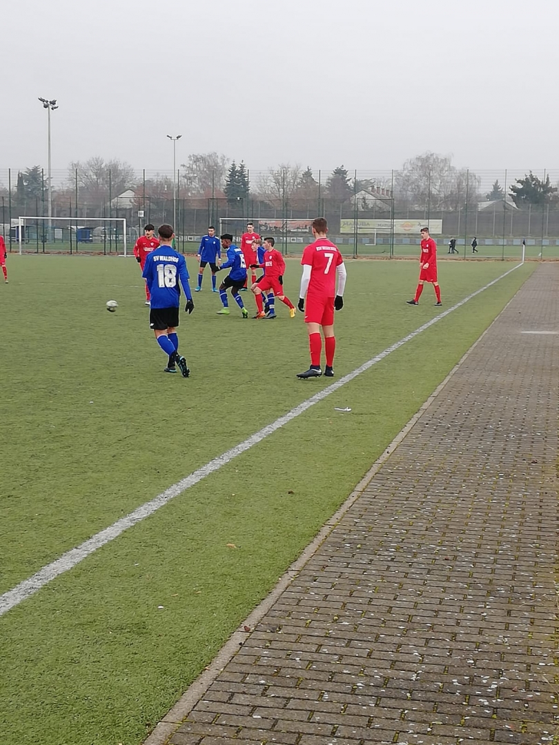 Waldhof Mannheim - U15