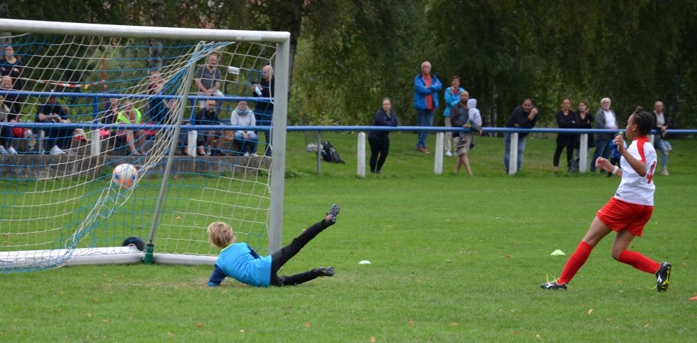 D-Juniorinnen - FSG Gudensberg III E-Junioren