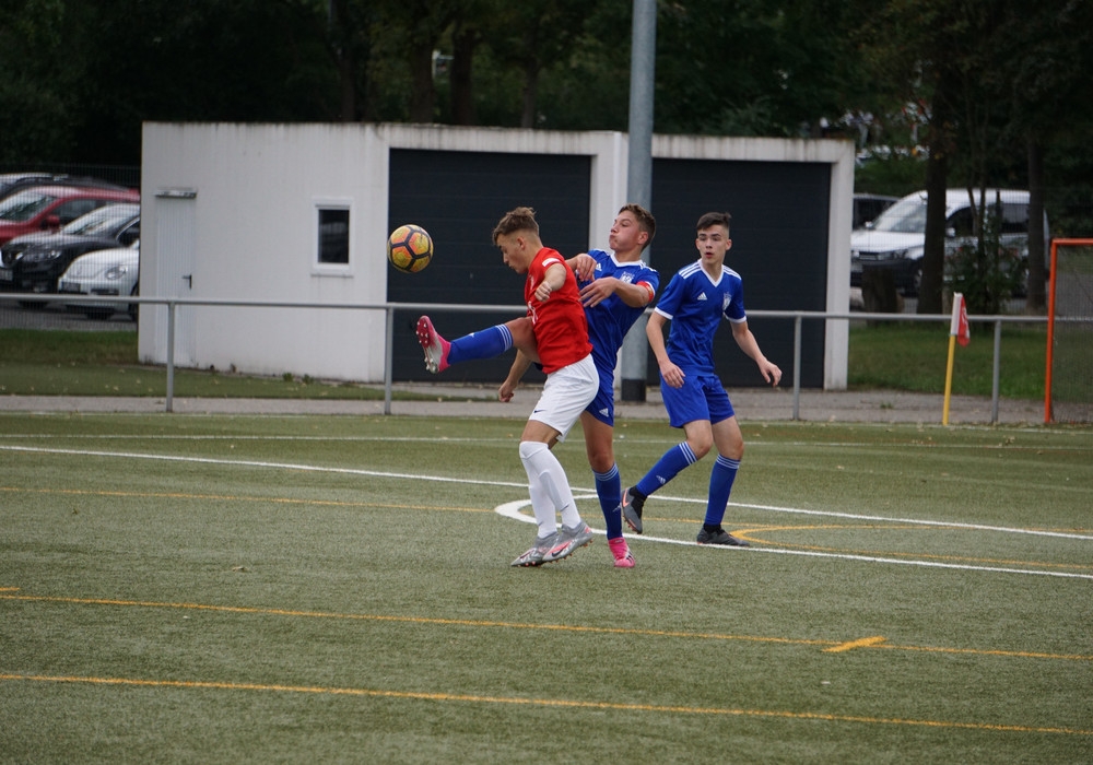 U17 - 1. FC Schwalmstadt