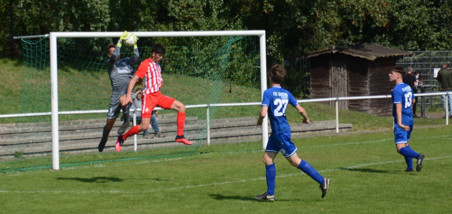 U19 - Bayern Alzenau