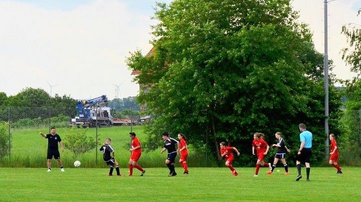 FSG Gudensberg - D-Juniorinnen