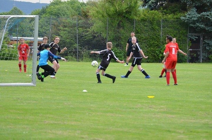 FSG Gudensberg - D-Juniorinnen