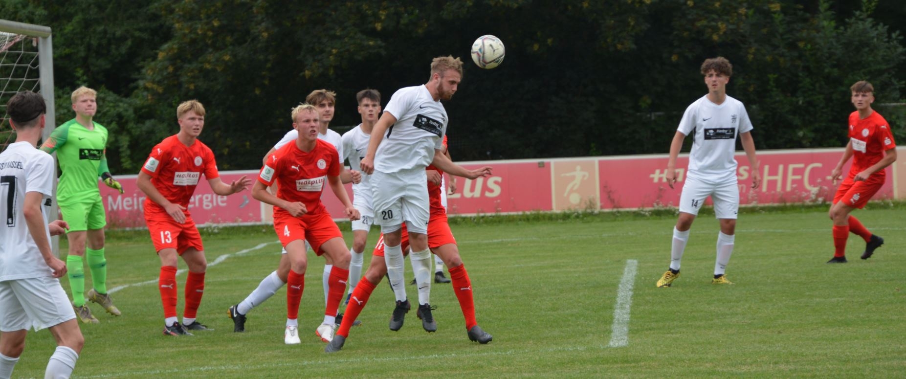 Hallescher FC - U19