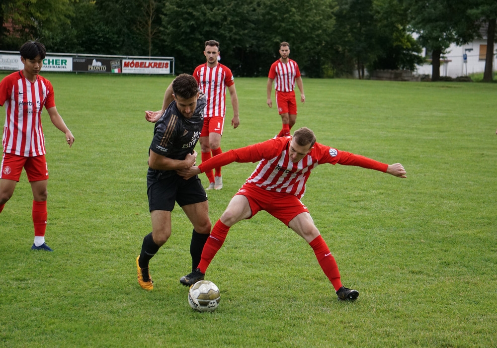  	   SG Bad Wildungen / â€‹Friedrichstein - U23