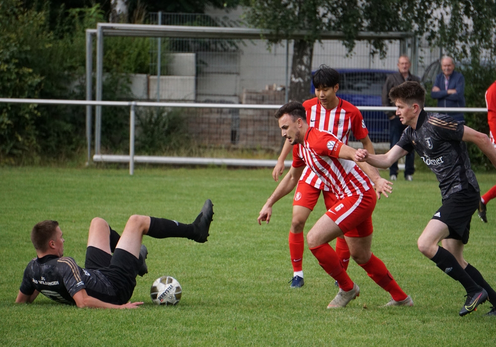  	   SG Bad Wildungen / â€‹Friedrichstein - U23