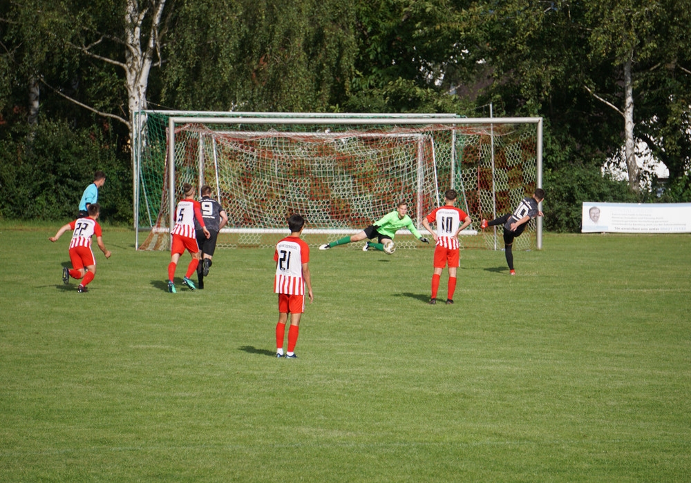  	   SG Bad Wildungen / â€‹Friedrichstein - U23