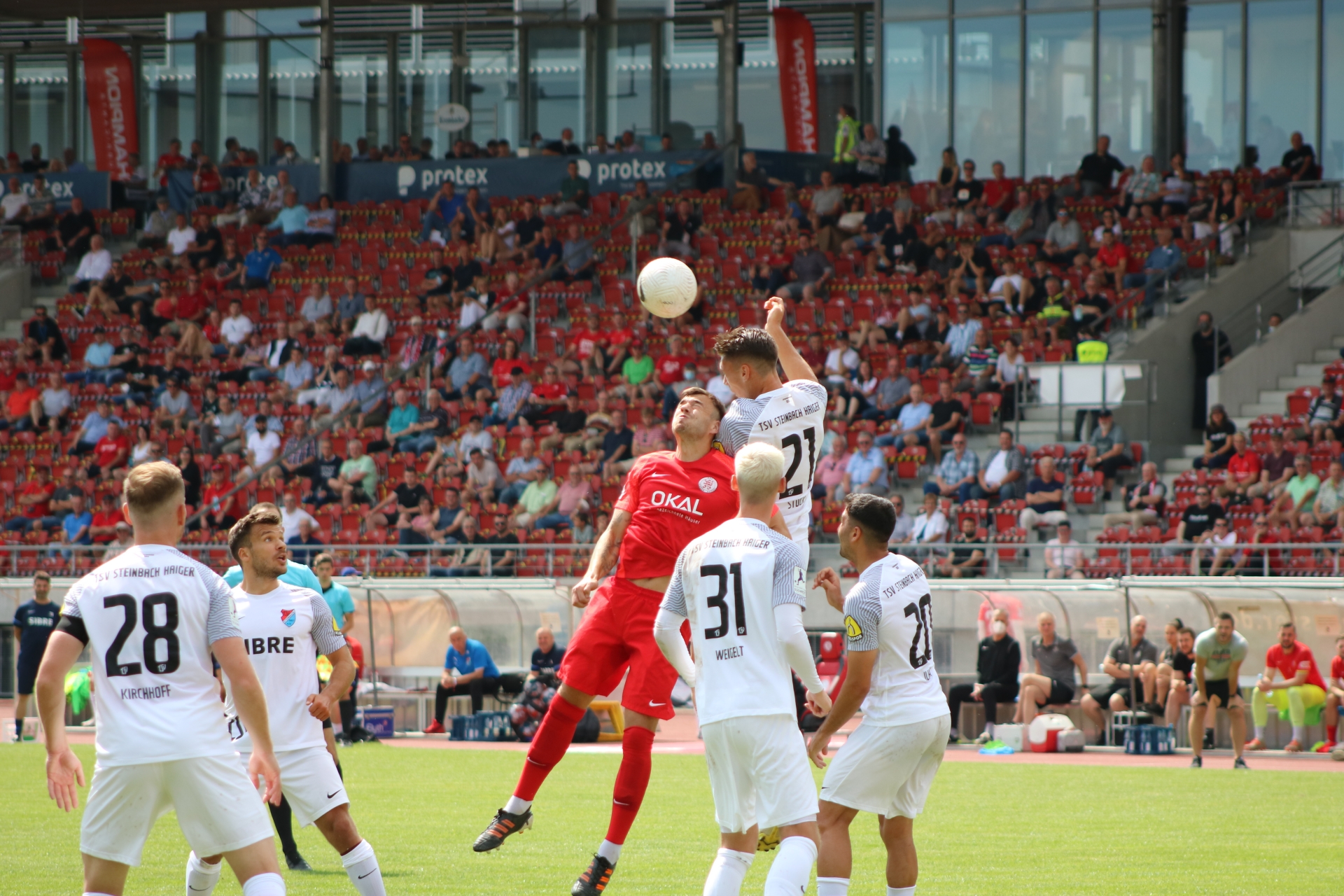KSV Hessen Kassel - TSV Steinbach Haiger