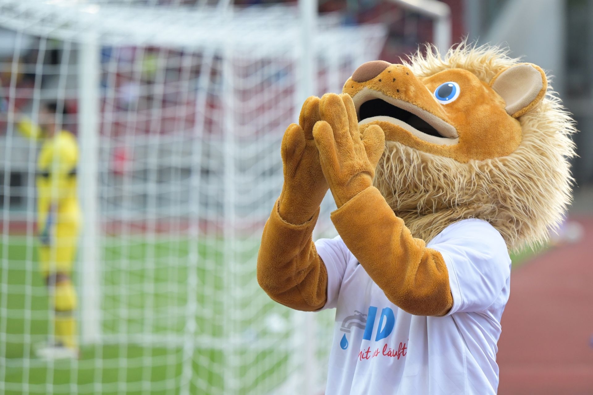 KSV Hessen Kassel, VfB Stuttgart II, Regionalliga Sï¿½dwest, Saison 2021/22, Endstand 3:2, Totti