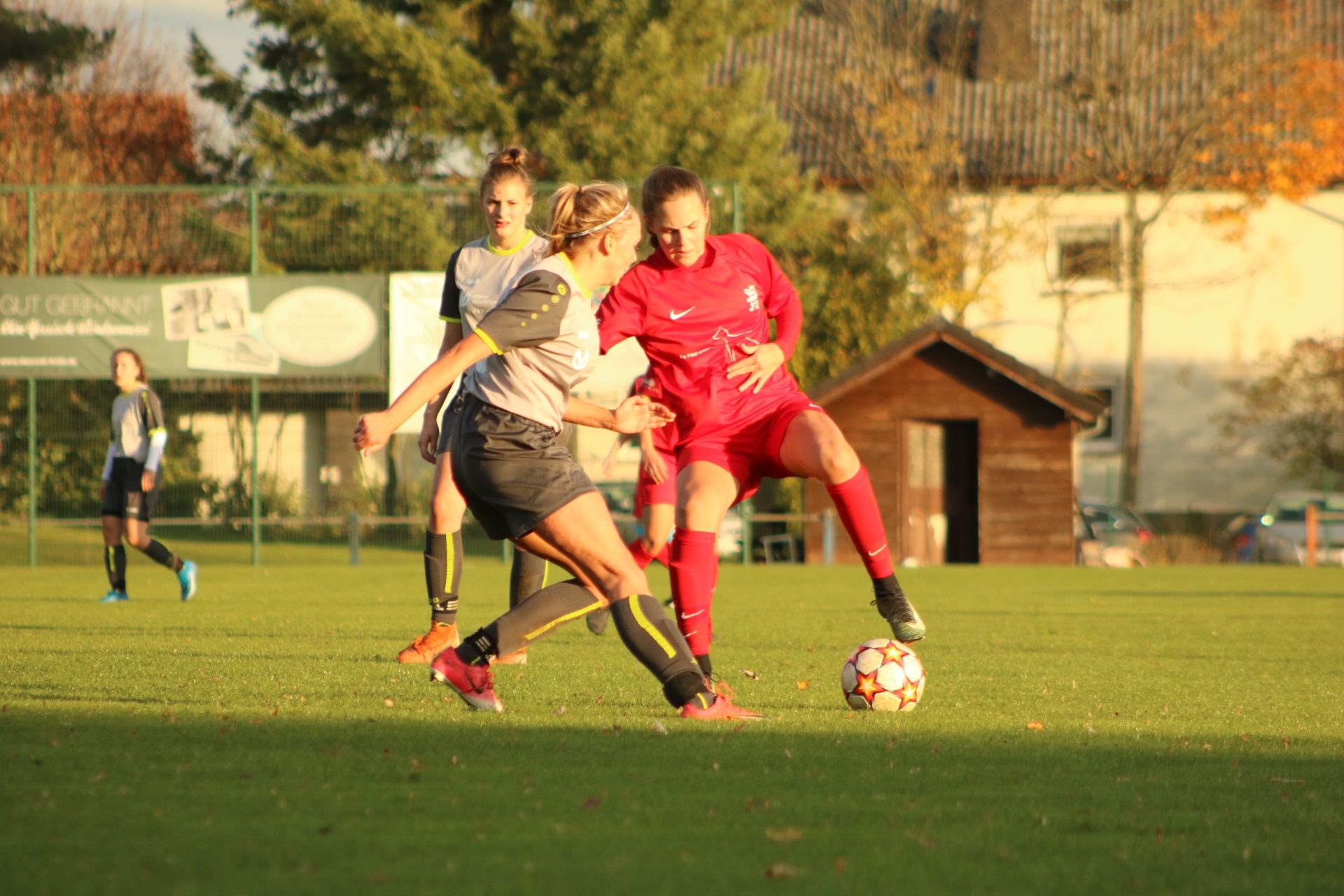 TSV Pilgerzell - KSV Hessen Kassel I.